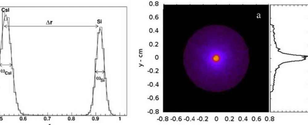 Fig. 2. Pulse shape distribution of the WFM-IS de- de-tection elements. Reprinted from Marisaldi et al.