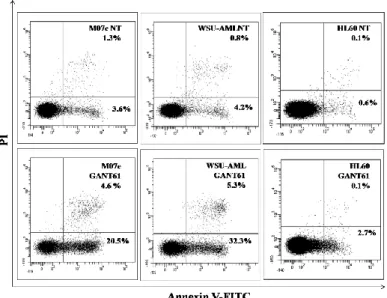 Figure  8.  Cell  cycle  analysis.  Flow  cytometric  analysis  of  PI-stained  AML  cell  lines  positive  to  CBFA2T3-GLIS2  fusion gene after 48 h of treatment with 20 µM GANT61
