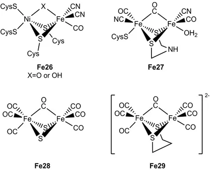 Figure 14. [NiFe] Fe26 and [FeFe] Fe27 hydrogenases described in crystallographic studies