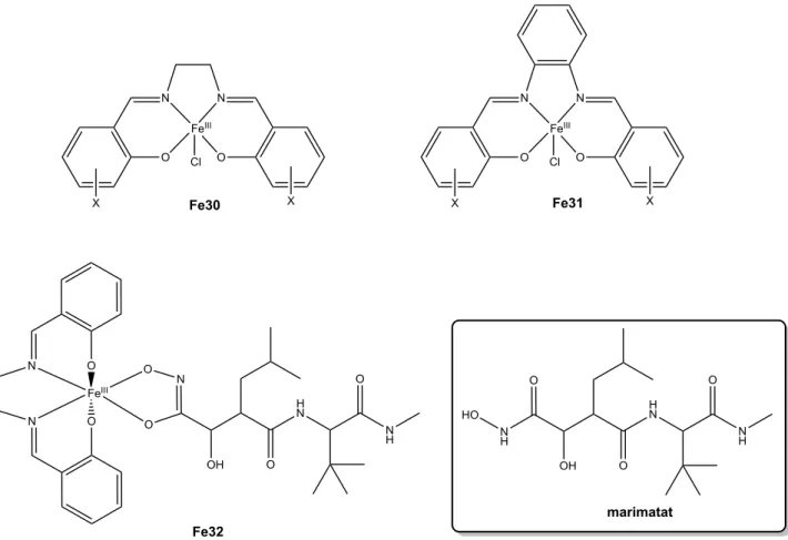 Figure 16. Salen- Fe30 and salphen-iron(III) Fe31 complexes and the marimastat derivative Fe32