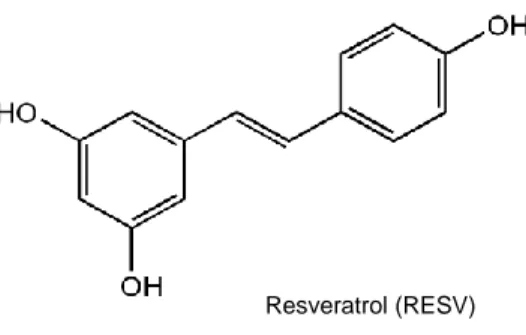 Figure 6  - Chemical structure of 3,4',5-trihydroxystilbene (RESV) (Pirola and Fröjdö, 2008, modified)
