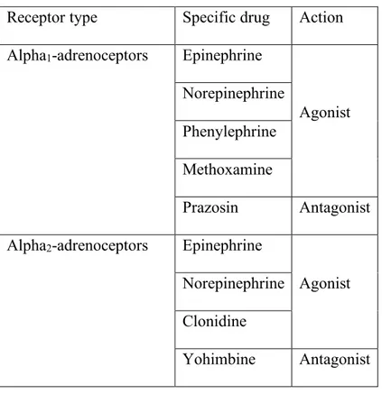 Table  1-Classification  of  alpha-adrenoceptors  based  on  their  sensitivity  for  agonists  and  antagonists (Clarke et al