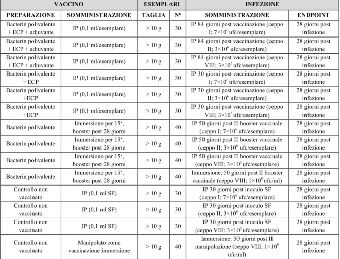 Tabella 14: Schema della prima prova di efficacia vaccinale.  