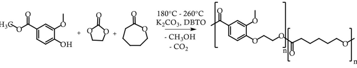 Figure 3.2.4.: Synthesis of the copolyesters containing repeating units derived from EV and CL