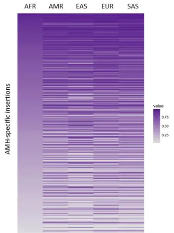 Figure 8. Heatmap of AMH-specific RI distribution in in present-day populations. 