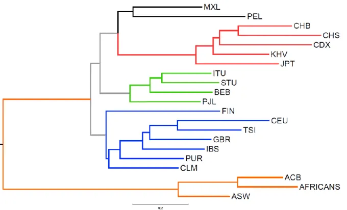 Figure  9.  Neighbour  joining  tree  calculated  by  using  AMH-specific  RIs  in  present-day  populations  as  phylogenetic markers