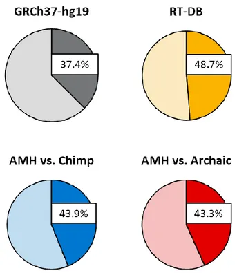 Figure 10. Proportion of ENSEMBL-annotated genes in the whole  reference genome  GRCh37-hg19 (grey),  proportion of insertions that occurred in annotated genes for RT-DB insertions (yellow), AMH-specific RI vs  chimp (blue) and AMH-specific RI vs both HN a