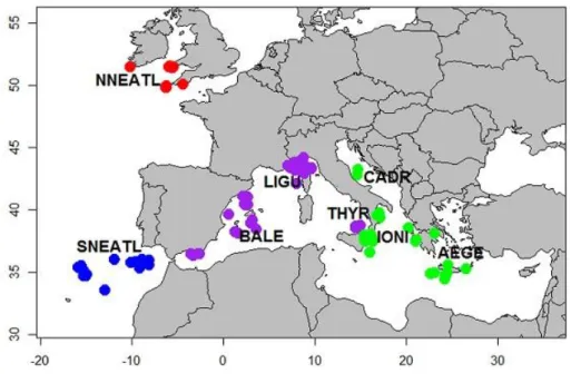 Fig.  2.1:  Sampling  sites  of  Mediterranean  and  North  Eastern  Atlantic  Blue  Sharks
