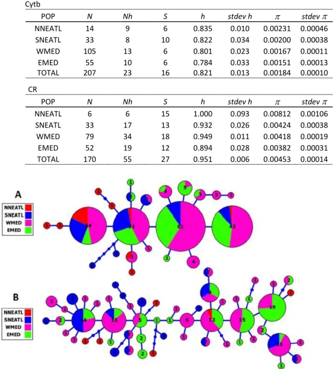 Tab. 2.1: Mitochondrial gene polymorphism of Prionace glauca population samples subdivided according to the four  macro areas
