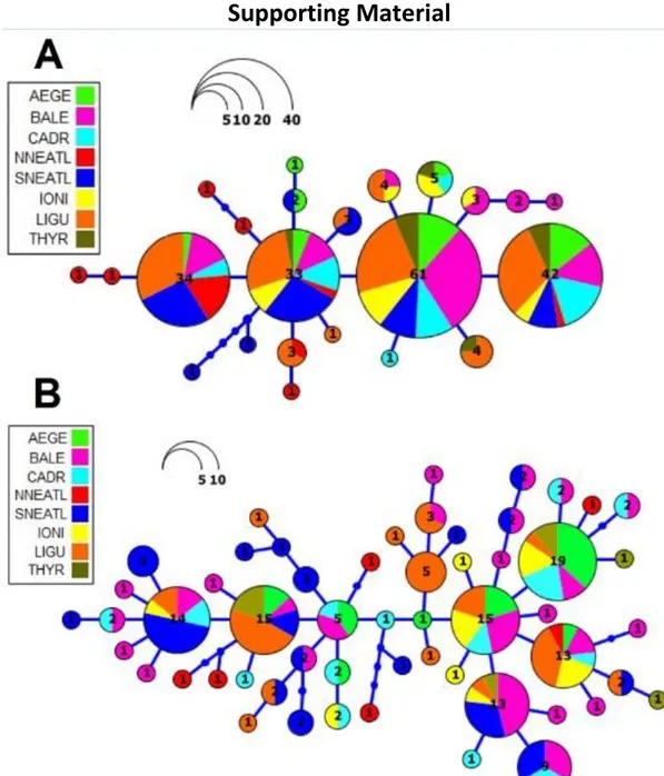 Fig. S2.1: Cytochrome-b (Cytb) and Control Region (CR) Maximum Likelihood Haplotype Network of Mediterranean and North  Atlantic Blue Shark populations detailed per sampling locations 