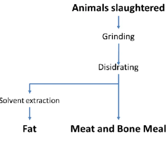 Figure 1.7 Meat and bone meal production process, figure rielaborated from Mekonnen (Mekonnen et  al., 2014)