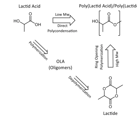 Figure 1.4: Routes to produce PLA. Direct polycondensation of lactic acid and ring-opening  polymerization through lactide intermediate