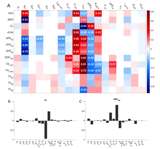 Figure	1.5	:	Sensitivity	Analysis 