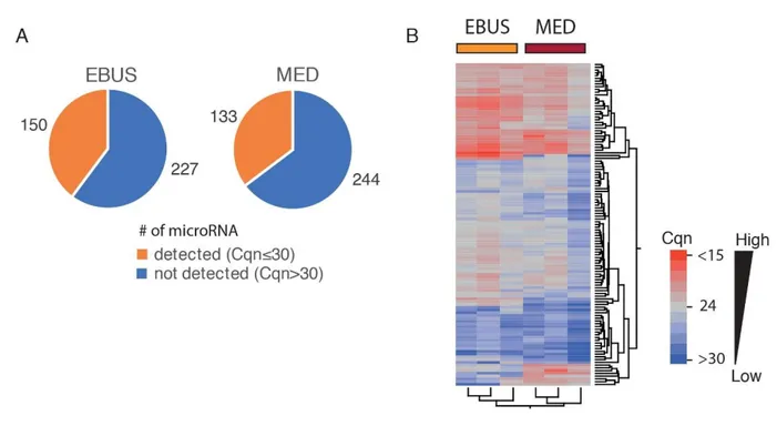 Figure 5) A. Pie charts of the number of detected (Cqn≤30; in orange), or undetected (Cqn&gt;30; in  blue) microRNA in all the primary cells obtained from EBUS (N=3) or in all mediastinoscopy FFPE  samples, i.e