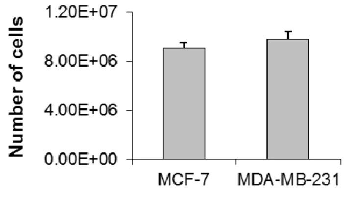 Figure 18. (b) number of MCF-7 and MDA-MB-231 that infiltrated the collagen  scaffold at day 10 of culture