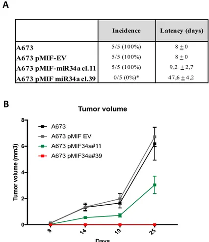 Figura 6. Caratterizzazione in vitro dei cloni A673 over-esprimenti miR-34a. A. Dati di latenza e incidenza tumorale  in seguito ad iniezione s.c
