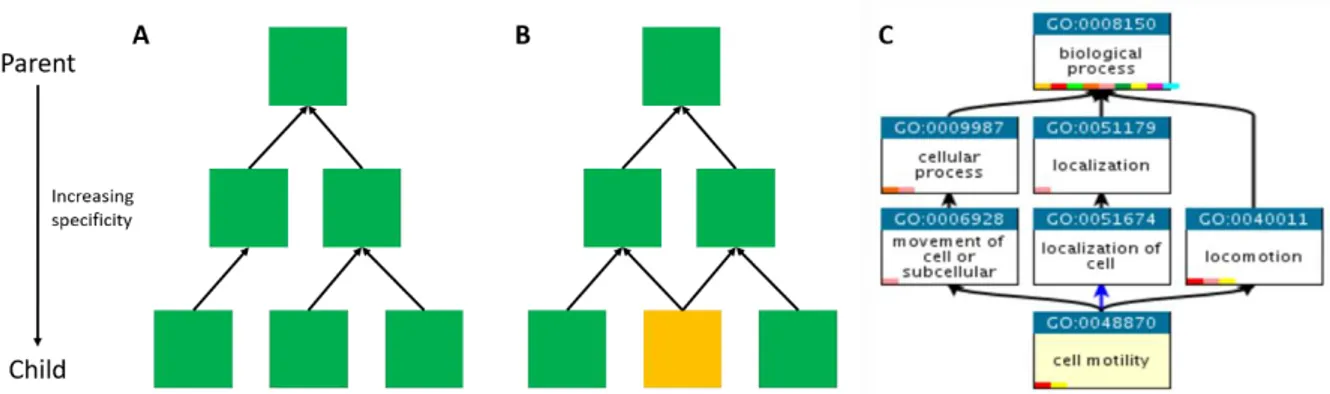 Figure  3.  Simple  trees  and  directed  acyclic  graphs.  Both  structures  are  directed  graphs  in  which  boxes  represent nodes (functional terms) and arrows represent edges