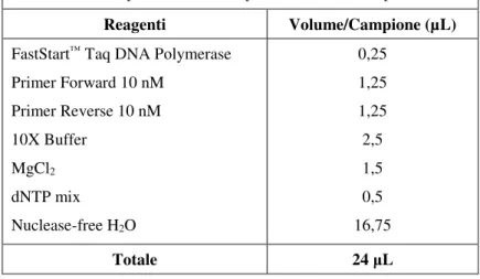 Tabella 2 -  Componenti necessari per la reazione di amplificazione 