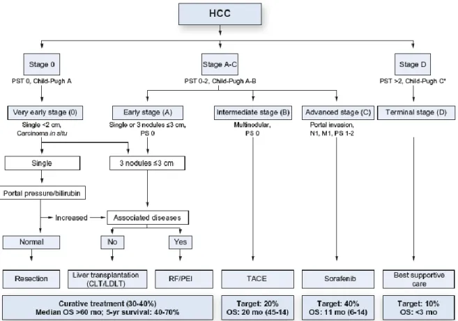 Figura  3.  Stadiazione  e  trattamento  dell’epatocarcinoma  secondo  il  Barcelona  Clinic  Liver  Cancer (BCLC)