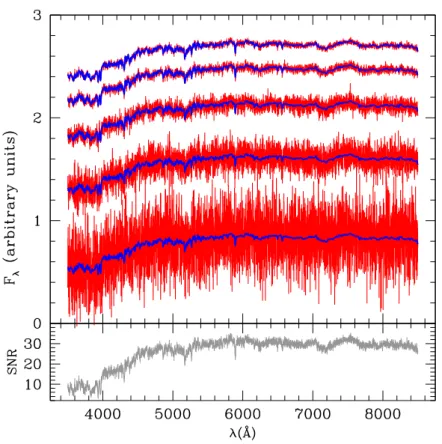 Figure 2.2: Simulated spectra of a CSP at 13 Gyr from the onset of the SFH (exponentially delayed with