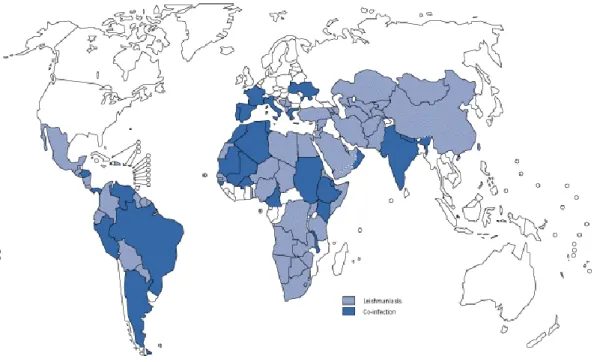 Figura 4. Distribuzione globale dei casi riportati di leishmaniosi e coinfezione Leishmania/HIV negli  anni  1990-1998  [The  Leishmaniases  and  Leishmania/HIV  Co-Infection&#34;  WHO  Fact  Sheet  No