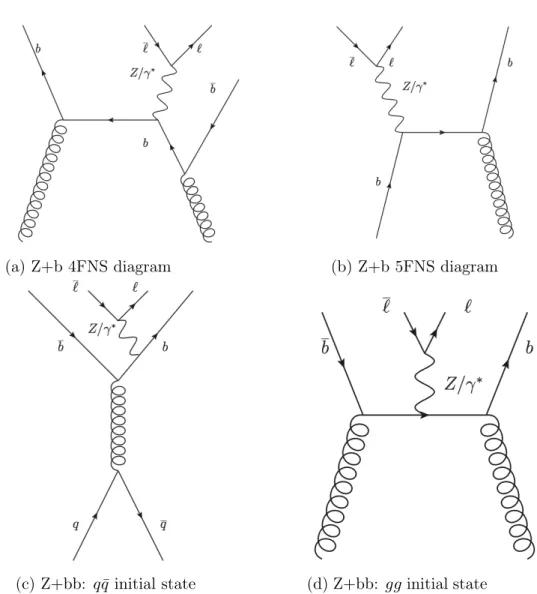 Figure 1.15: Representative Feynman diagrams for Z+b (top) and Z+bb (bottom) production
