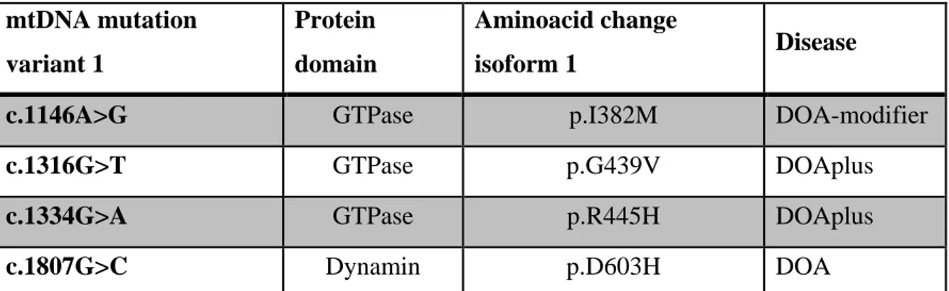 Table 1. Characteristics of the OPA1 mutations analyzed in this study. 