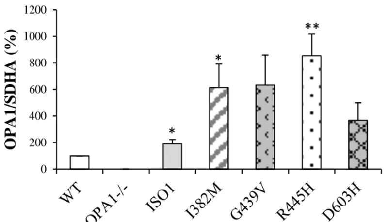 Figure 8. OPA1 oligomers in mitochondria isolated from the indicated MEFs, solubilized and  separated by BN-PAGE and probed with anti-OPA1 antibody by western blot (A);  densitometric  bands quantification (B)