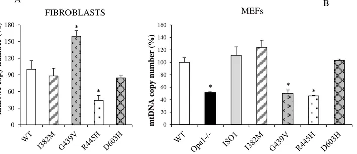 Figure 9. The mtDNA copy number of fibroblasts (A) and MEFs (B). Data are means ± SEM of  at least three independent experiments