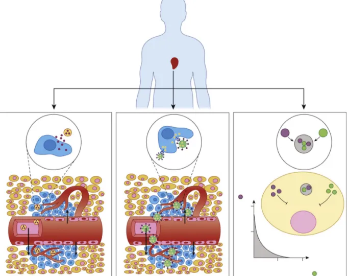 Figure 2. Passive targeting, active targeting, and combinatorial delivery. In passive targeting (left), nanoparticles  (NPs)  passively  extravasate  though  the  leaky  vasculature  via  the  enhanced  permeability  and  retention  (EPR)  effect and prefe