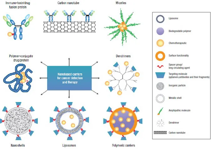 Figure 3. Images of  nanocarriers for targeting cancer adapted from Nat.Nanotechnol. 2, 751-760 (2007)
