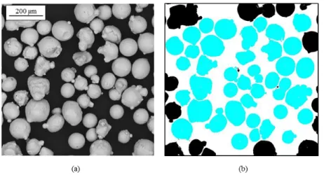 Figura 43: Esempio di immagine al SEM (a) e relativa analisi di immagine (b) utilizzata per il  calcolo della dimensione media di particelle