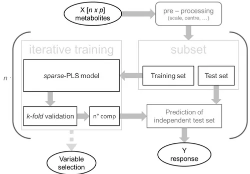 Fig. 3 Metabolomic approach: example of a sPLS based algorithm for data analysis 