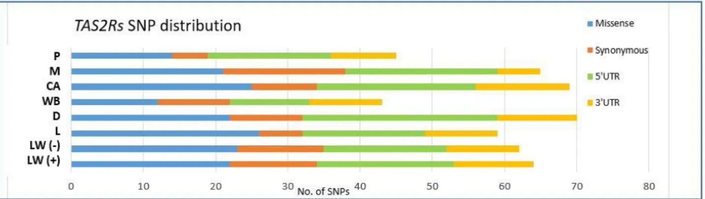 Figure 1. Number of segregating single nucleotide polymorphisms (SNPs - missense; synonymous; 