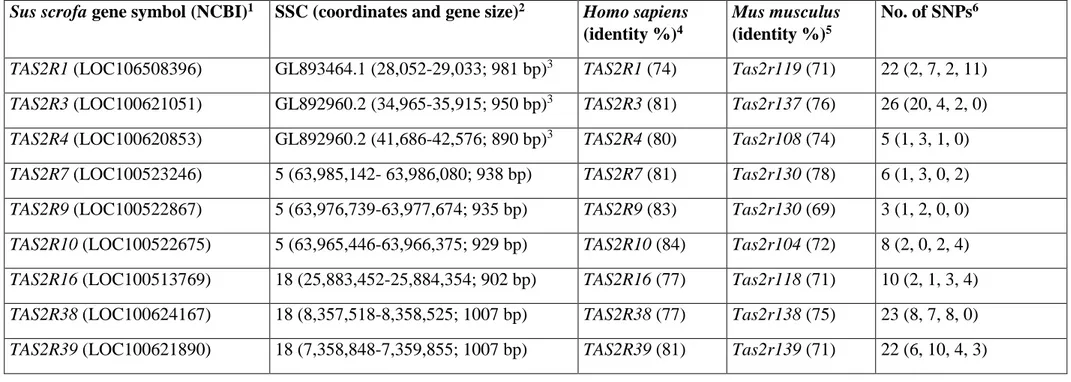 Table 1. Summary of information from the analysed porcine bitter taste receptor genes, comparison with putative homologous genes in humans and mice  and number of single nucleotide polymorphisms (SNPs) identified in this study