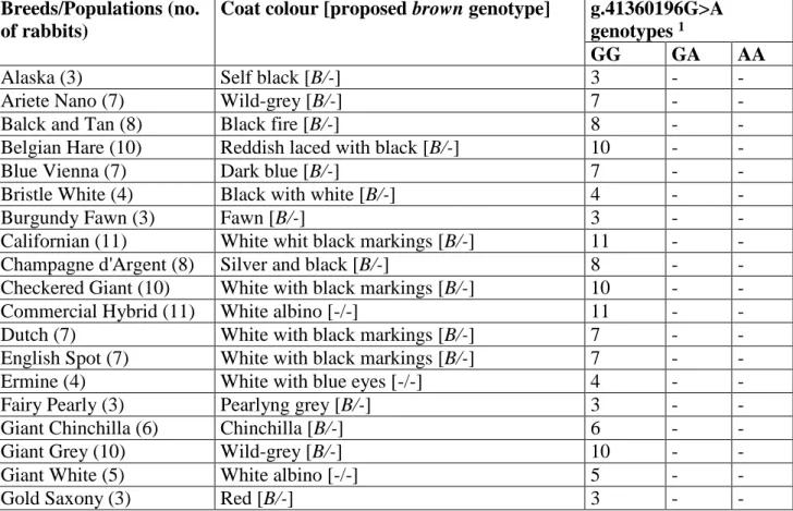 Table 1. Rabbits genotyped for the TYRP1 g.41360196G&gt;A mutation. 