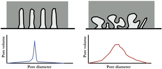 Figure 2: Two examples of pore distribution. On the left, a unimodal distribution of uniform  pores (ordered porosity)