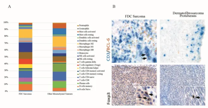 Figura  4:  Landscape  immune  dei  sarcomi  FDC  comparato  a  quello  di  altri  tumori  mesenchimali