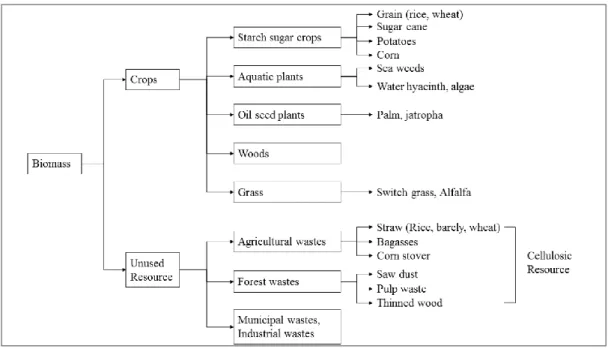 Figure 1.1. Biomass as renewable feed stock for biorefineries. From: Naik, S. N., Goud, V