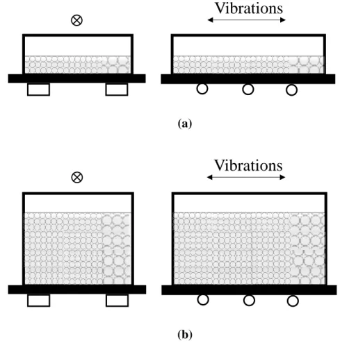 Figure 3.1 - Typical setup for experimental tests on horizontally shaken granular material: (a) thin-layer; (b)  full 3D geometry 