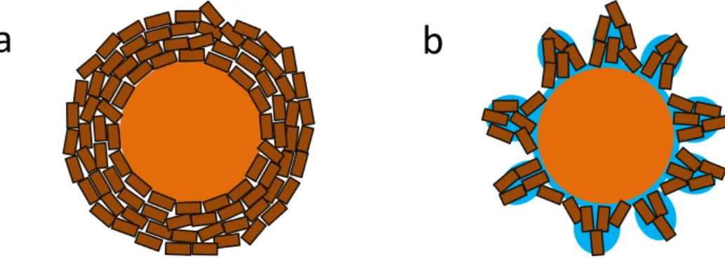 Figure 2.3. Product layer formed a) in dry gas conditions, b) in wet gas conditions. 