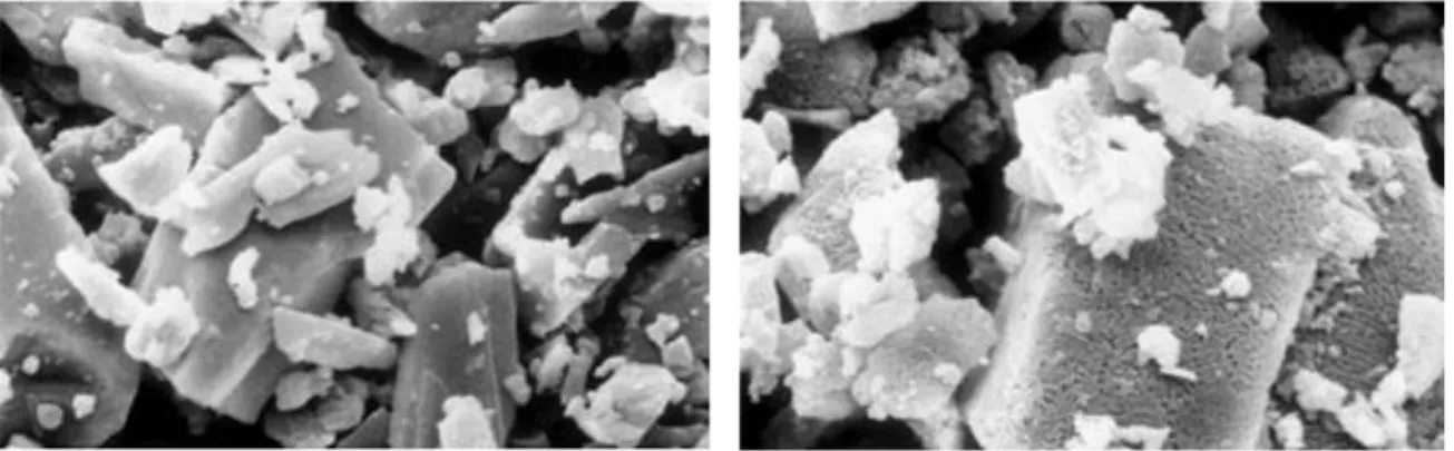 Figure  2.4.  SEM  images  of:  a)  raw  sodium  bicarbonate,  b)  sodium  carbonate  obtained  via  reaction  2.8  (source: Kong and Davidson, 2010)