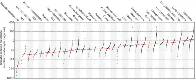 Figura V. Numerosità di mutazioni somatiche rilevate nelle diverse tipologie di  tumori umani [Alexandrov et al, 2013] 