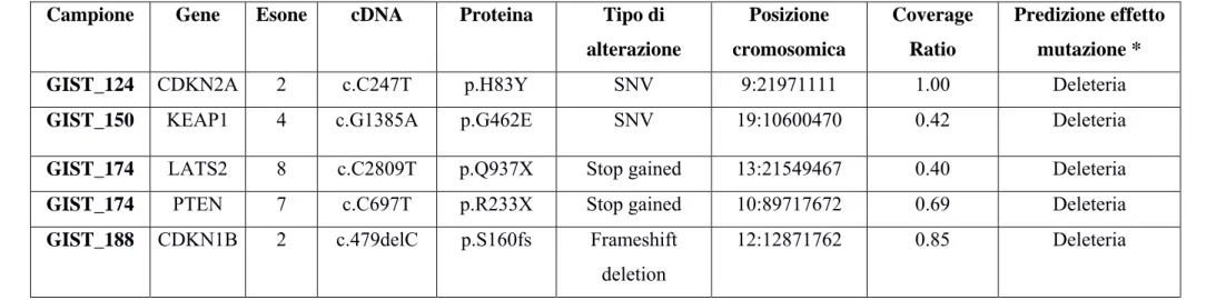 Tabella 5. Lista delle SNV indentificate nei GIST metastatici KIT esone 11 mutati. 