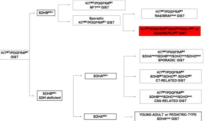 Figura II. Suddivisione molecolare dei GIST KIT/PDGFRA WT [Nannini et al, 2014] 