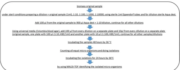 Figure 4.6. Step-by-step procedure for microbiological analysis of biomass and wastewater (Synlab)