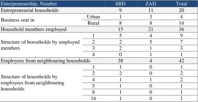 Table 11: Characteristics of rural in-migrant households’ businesses  
