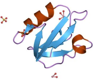 Figura 1: proteina codificata dal gene IL5RA 