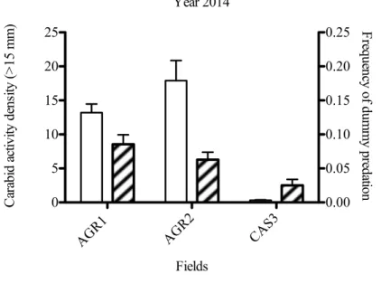 Figure 7 Carabid activity density (bars represents SE of mean) and frequency of dummy  predation  (bars  represent  SE  of  binomial  distribution)  by  chewing  insects  during  2014