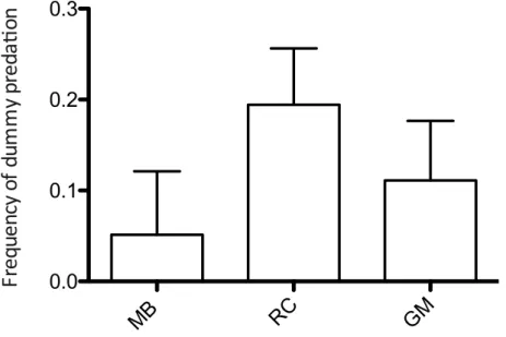 Figure  3  Frequency  of  dummy  predation  in  the  experiment  1  (vetch-tomato)  per  each  treatment  (MB=synthetic  biodegradable  film  covering,  RC=roller  crimper,  GM=green  manure), pooling the seasons (2014-2015)